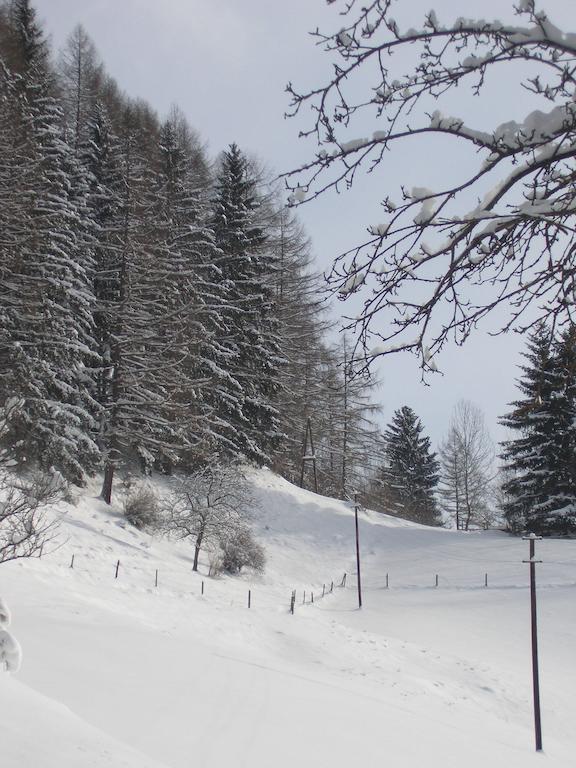 Gasthof Trattner Pension Waldhof Sankt Peter am Kammersberg Zewnętrze zdjęcie