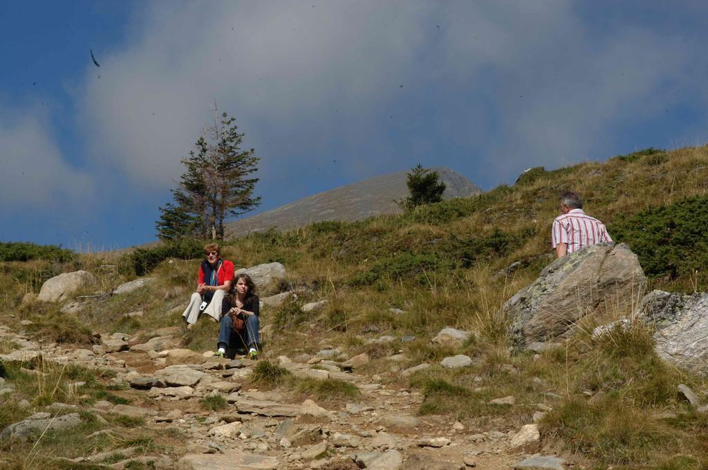 Gasthof Trattner Pension Waldhof Sankt Peter am Kammersberg Zewnętrze zdjęcie